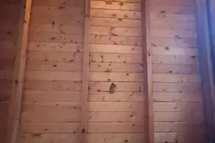 136 Little Rock Creek Trl, Cherrylog, GA 30522 - Photo 19