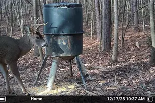 7437 Hwy 53 W, Jasper, GA 30143 - Photo 33