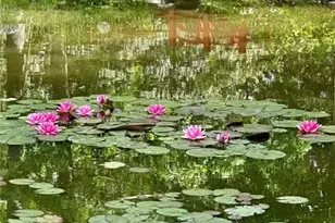 6336 Old Shadburn Ferry Rd, Buford, GA 30518 - Photo 85