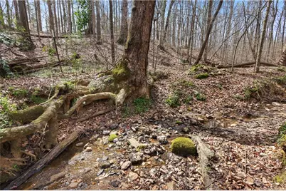 0 Winford Smith Road, Athens, GA 30607 - Photo 9