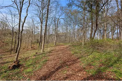 0 Winford Smith Road, Athens, GA 30607 - Photo 3