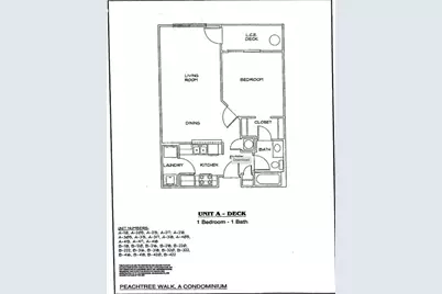 1074 Peachtree Walk NE #B220, Atlanta, GA 30309 - Photo 19