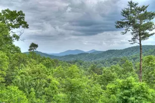 436 Geronimo Road, Blue Ridge, GA 30513 - Photo 5