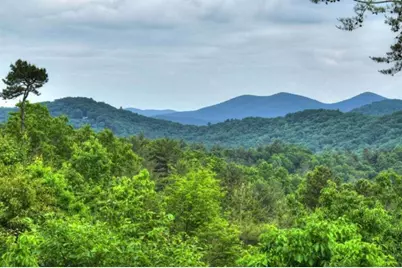 436 Geronimo Road, Blue Ridge, GA 30513 - Photo 27