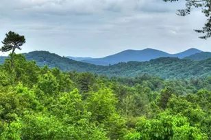 436 Geronimo Road, Blue Ridge, GA 30513 - Photo 27