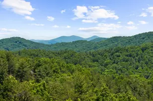 436 Geronimo Road, Blue Ridge, GA 30513 - Photo 57