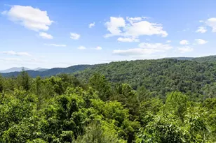 436 Geronimo Road, Blue Ridge, GA 30513 - Photo 5