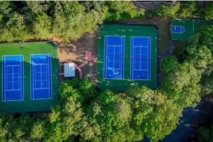 195 Stoneridge Ct, Dawsonville, GA 30534 - Photo 107