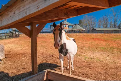 463 E Valley Road NE, Rydal, GA 30171 - Photo 45