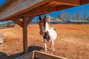 463 E Valley Rd NE, Rydal, GA 30171 - Photo 45