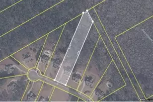 1465 Bradford Ln, Monroe, GA 30656 - Photo 61