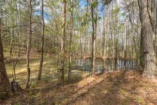 710 Little Vine Church Rd, Villa Rica, GA 30180 - Photo 61