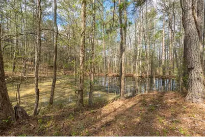 710 Little Vine Church Road, Villa Rica, GA 30180 - Photo 63