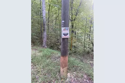 1145 Embry Court, Ranger, GA 30734 - Photo 3