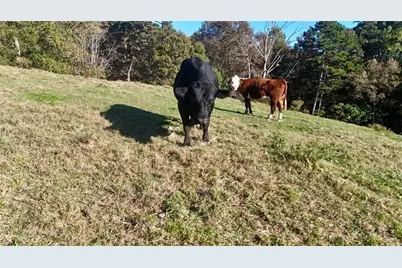 0 Porter Springs Road, Dahlonega, GA 30533 - Photo 3