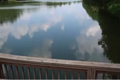 1221 Lakeside Overlook, Canton, GA 30114 - Photo 51