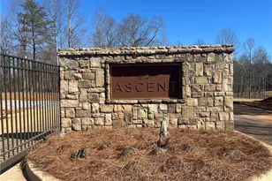 6240 Peaceful Grove (Lot 58) Dr, Cumming, GA 30041 - Photo 27