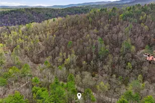 1780 Conasauga Rd, Ellijay, GA 30540 - Photo 17