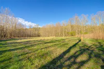 9031 Steve Tate Highway, Dawsonville, GA 30534 - Photo 21