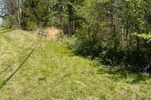 0 Sky Lake Rd, Sautee Nacoochee, GA 30571 - Photo 5