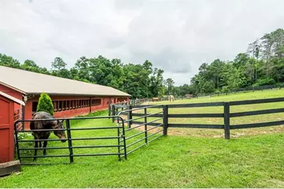 185 Alpine Drive, Jasper, GA 30143 - Photo 53