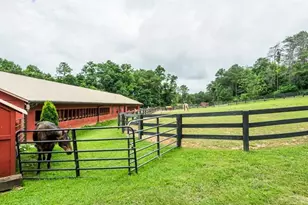 185 Alpine Dr, Jasper, GA 30143 - Photo 53