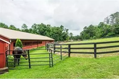 185 Alpine Drive, Jasper, GA 30143 - Photo 47