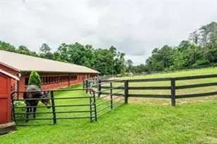 185 Alpine Dr, Jasper, GA 30143 - Photo 47