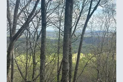 185 Alpine Drive, Jasper, GA 30143 - Photo 13