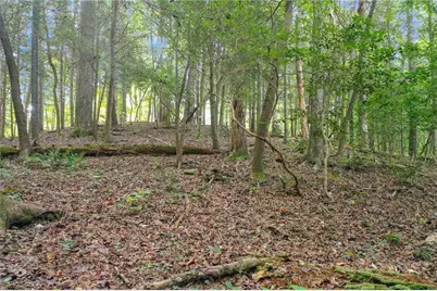 0 Strada Del Vino #10, Dahlonega, GA 30533 - Photo 23