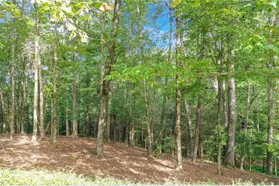 0 Strada Del Vino #10, Dahlonega, GA 30533 - Photo 15