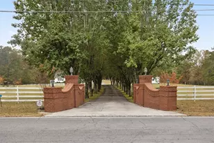 871 Robinson Rd, Chatsworth, GA 30705 - Photo 5