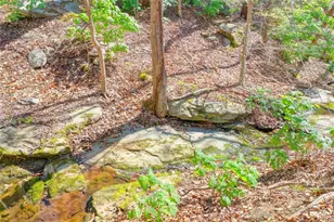 734 Weller Path NE, Sugar Hill, GA 30518 - Photo 41