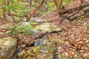 734 Weller Path NE, Sugar Hill, GA 30518 - Photo 43