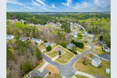 190 Towler Shoals Drive, Loganville, GA 30052 - Photo 29