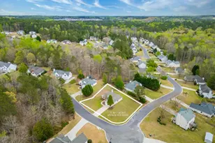 190 Towler Shoals Dr, Loganville, GA 30052 - Photo 29