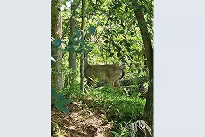 0 Grove Park NW, Atlanta, GA 30318 - Photo 5