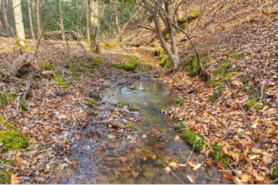Lt 13 Rocky Ridge, Mineral Bluff, GA 30559 - Photo 23