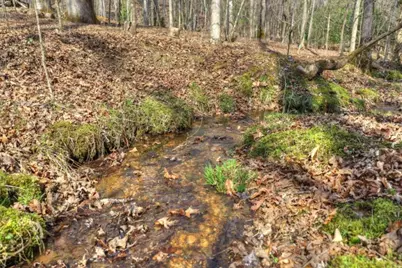 Lt 13 Rocky Ridge, Mineral Bluff, GA 30559 - Photo 19