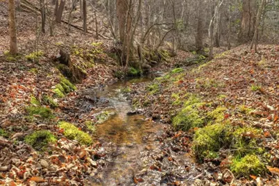 Lt 13 Rocky Ridge, Mineral Bluff, GA 30559 - Photo 17