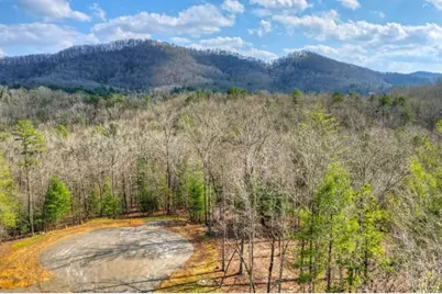 Lt 13 Rocky Ridge, Mineral Bluff, GA 30559 - Photo 1