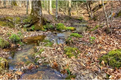 Lt 13 Rocky Ridge, Mineral Bluff, GA 30559 - Photo 21