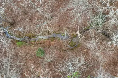 Lt 13 Rocky Ridge, Mineral Bluff, GA 30559 - Photo 15