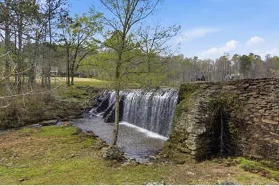 1505 Elders Mill Road, Senoia, GA 30276 - Photo 9