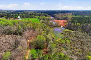 1505 Elders Mill Rd, Senoia, GA 30276 - Photo 127