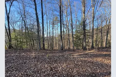 0 Rebekah Ridge, Talking Rock, GA 30175 - Photo 1