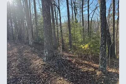 0 Rebekah Ridge, Talking Rock, GA 30175 - Photo 3