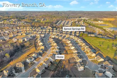 7129 Birch View Court, Flowery Branch, GA 30542 - Photo 63