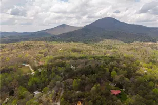 99 Duncan Bridge Trail, Cleveland, GA 30528 - Photo 11