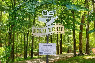 2845 Lillian Lane, Douglasville, GA 30135 - Photo 19